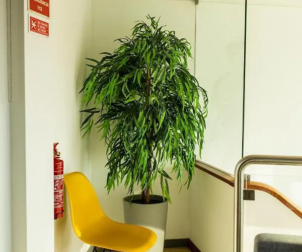 Blue Salinas 公寓 阿威罗